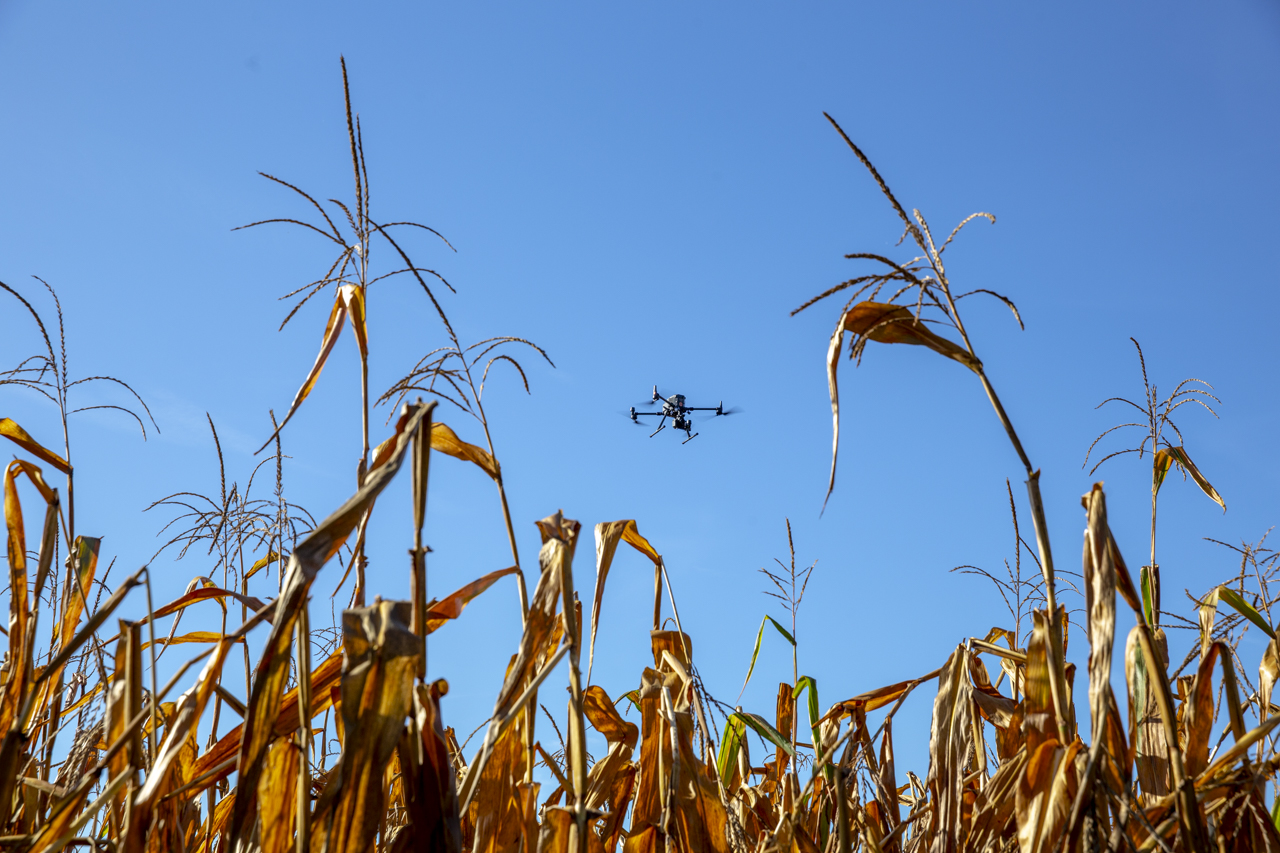 Drone agriculture